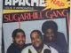 The Sugarhill Gang Apache (Jump On It)