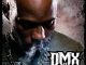 Dmx Lord Give Me a Sign