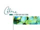 Celine Dion A New Day Has Come (Slow + Radio Remix)
