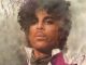 Prince 1999