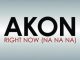Akon Right Now (Na Na Na) + Remix