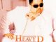 Heavy D Don't Be Afraid (ft. Big Dub)