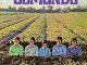 The Osmonds One Bad Apple