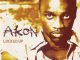 Akon - Locked Up