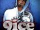 9ice - Street Credibility (feat. 2face Idibia)