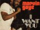 Marvin Gaye - I Want You