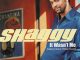 Shaggy - It Wasn't Me (ft. Rikrok)