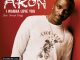 Akon - I Wanna Love You (Six Minute Remix)