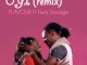 Flavour - Oyi (Remix) [feat. Tiwa Savage]
