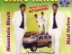 Mad Melon & Mountain Black - Danfo Driver (Efrebor Remix)