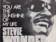 Stevie Wonder - You Are the Sunshine of My Life