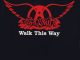 Aerosmith - Walk This Way