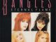 The Bangles - Eternal Flame