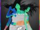 Avicii - The Nights