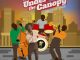 Frank Edwards - Under The Canopy