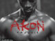 Akon - Belly Dancer (Bananza) [Remix] (feat. Kardinal Offishall)